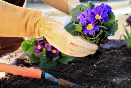 Person using a screen reader while viewing gardening resources