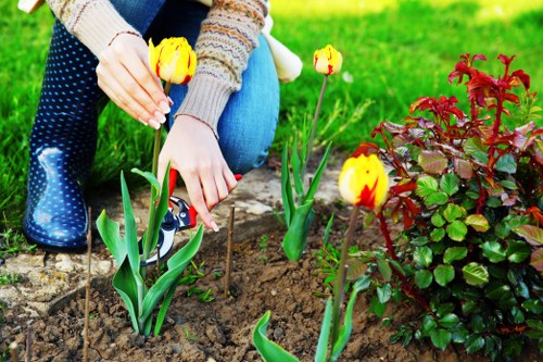Volunteers at an Acton gardening event with accessible facilities