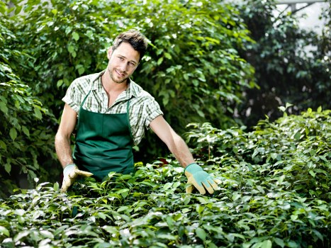Local botanical garden in Acton showcasing diverse flora