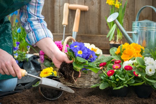 Acton gardening festival with vibrant displays